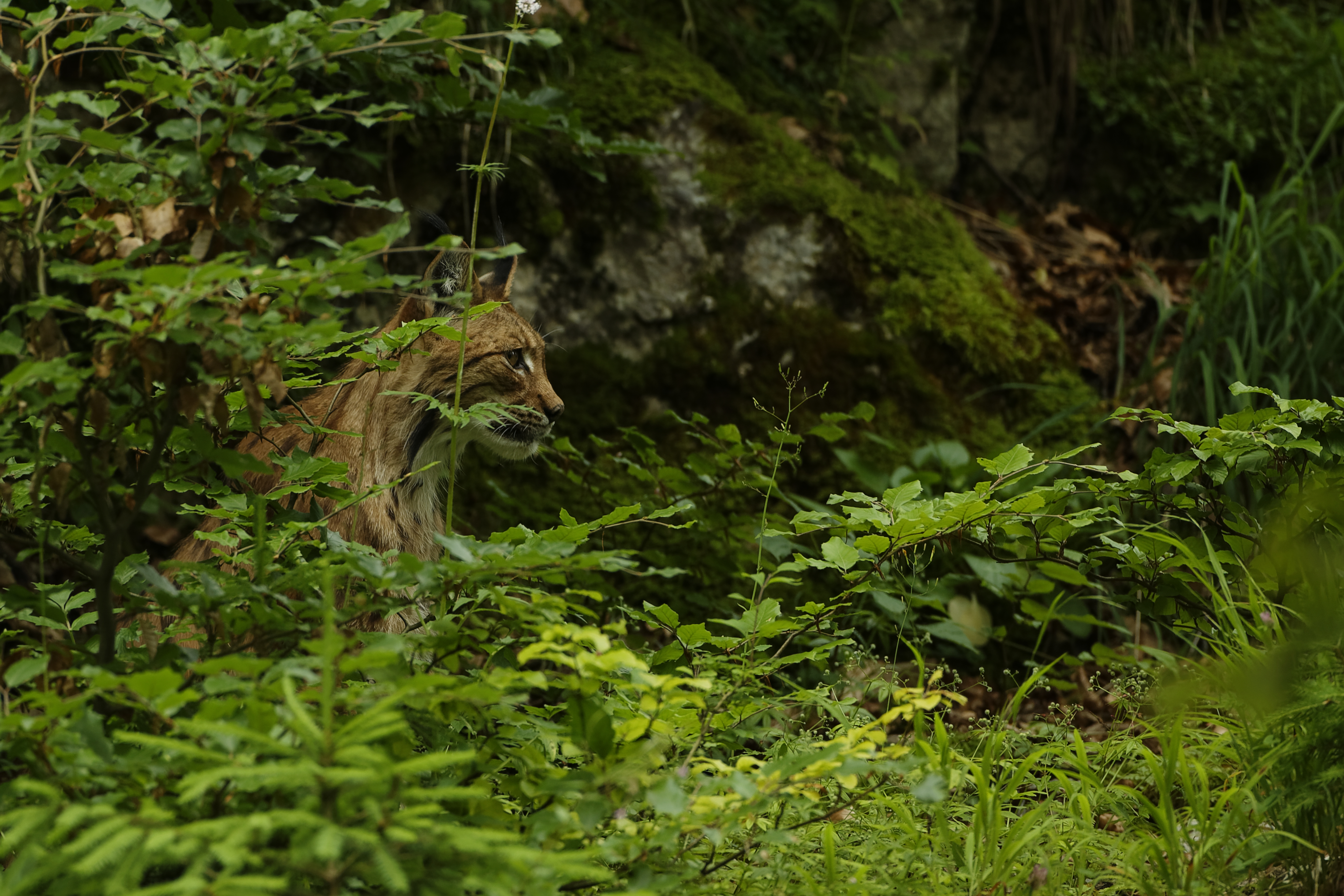 &copy; Arnaud DEROZE
