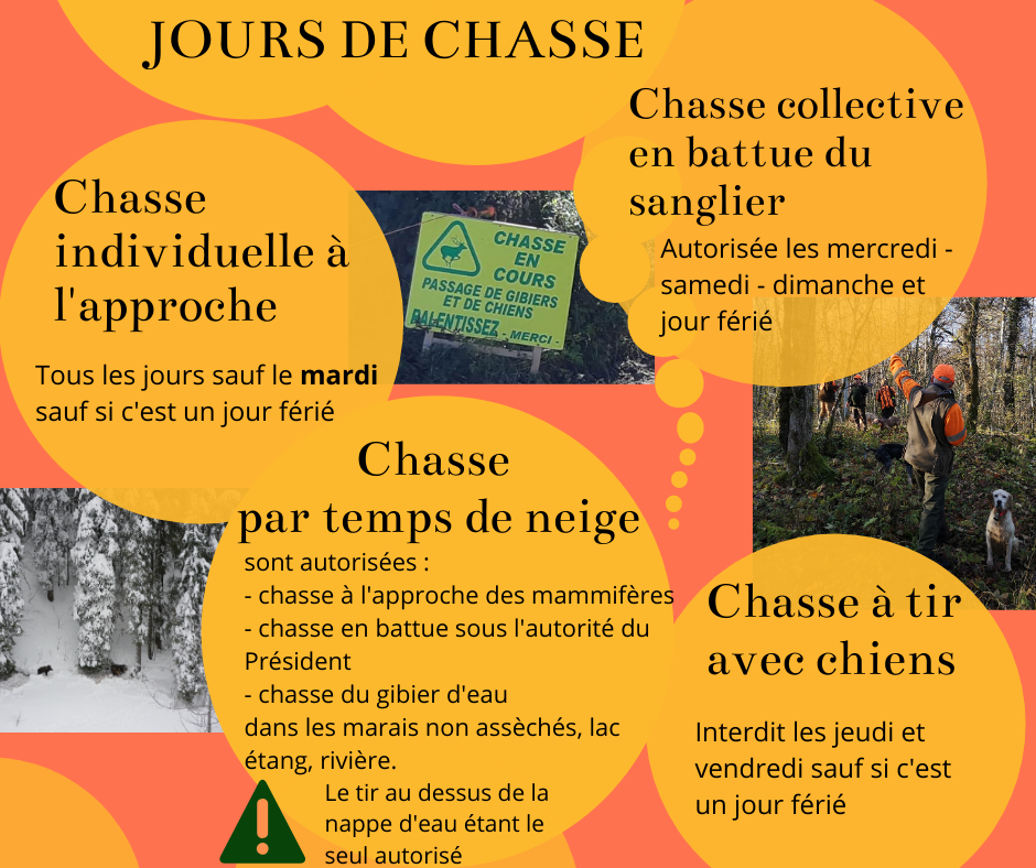 Est-il possible d'interdire la chasse le dimanche ?