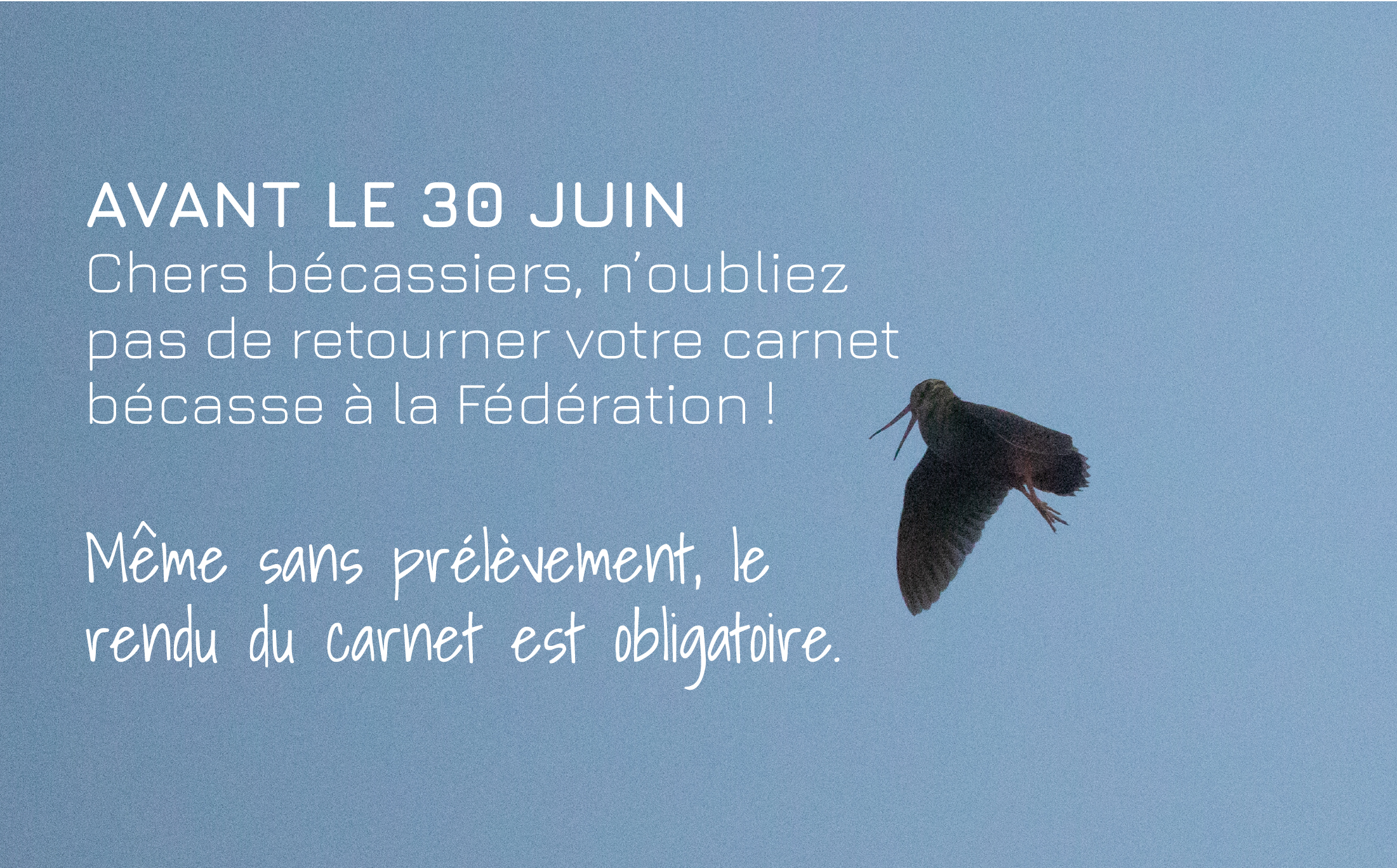 &copy;Dominique GEST