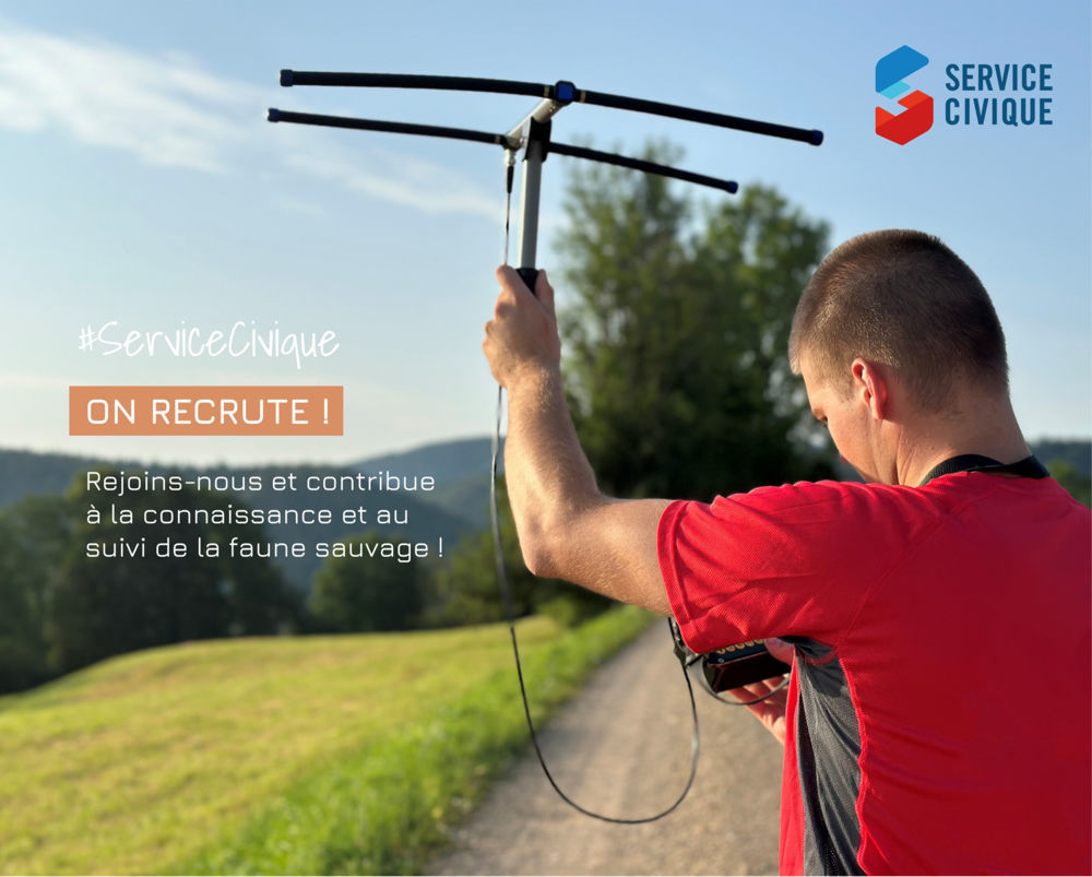 ON RECRUTE