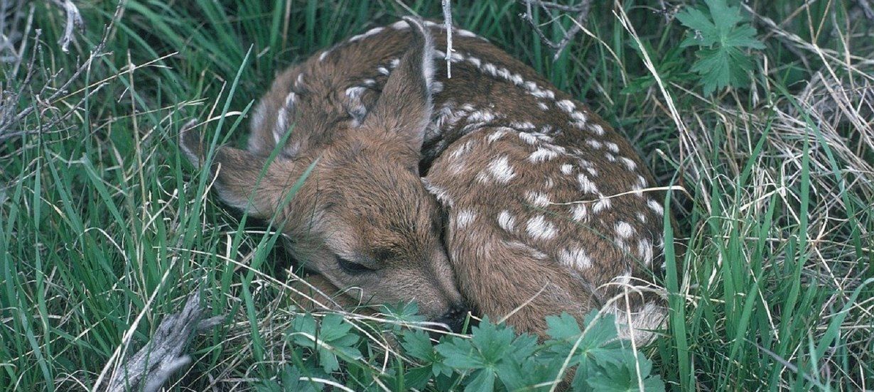 Machinisme agricole - LMFS