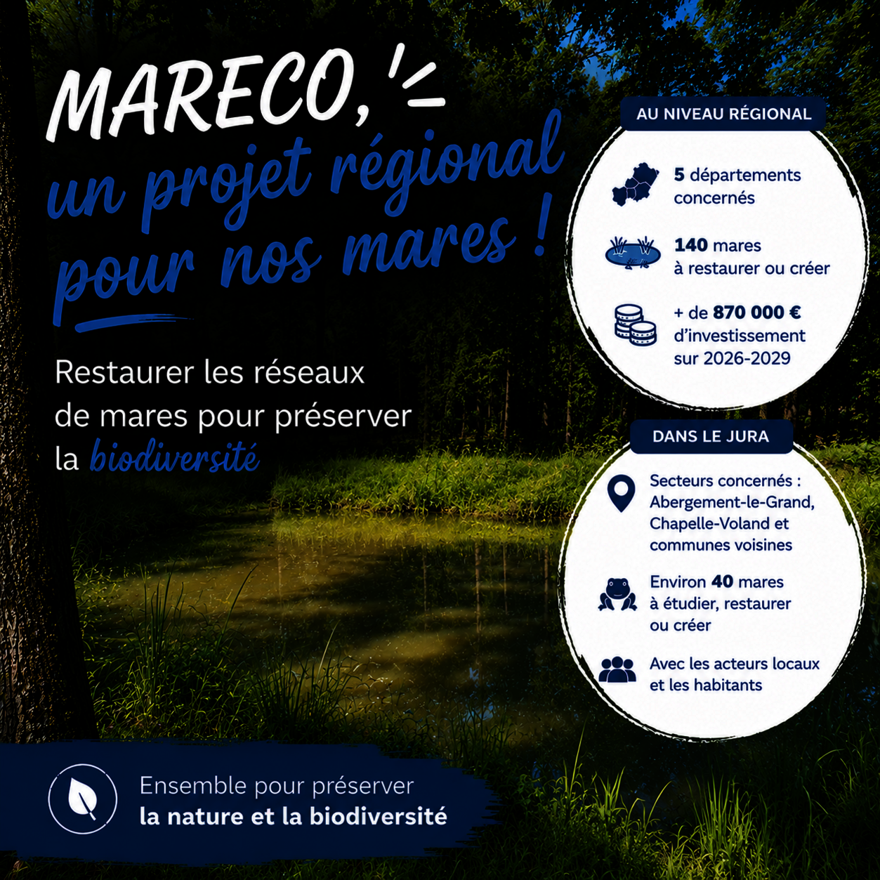 MARECO
