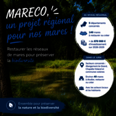 MARECO