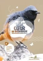 La chasse, cœur de biodiversité