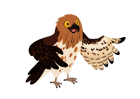 Au cœur d’une Forêt en sueur​