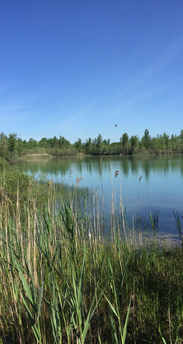Eau et milieux humides