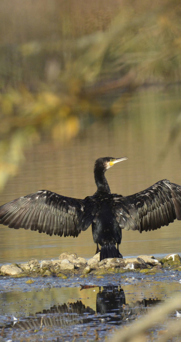 Club nature de l'écopôle