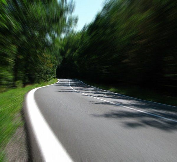 La mortalité extra-cynégetique