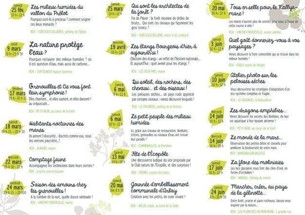 Sorties nature 2023