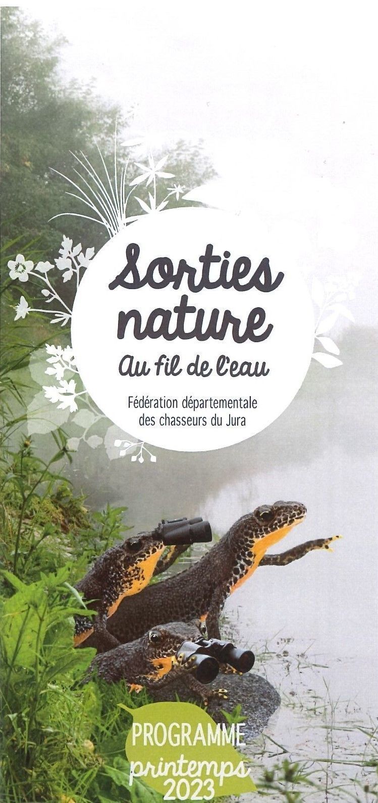 Sorties nature au fil de l'eau